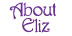 About E-Liz